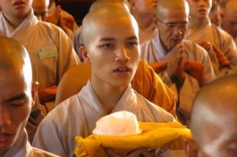 Đại giới đàn Hành Trụ 2011: Giới tử thọ Sa di tấn đàn
